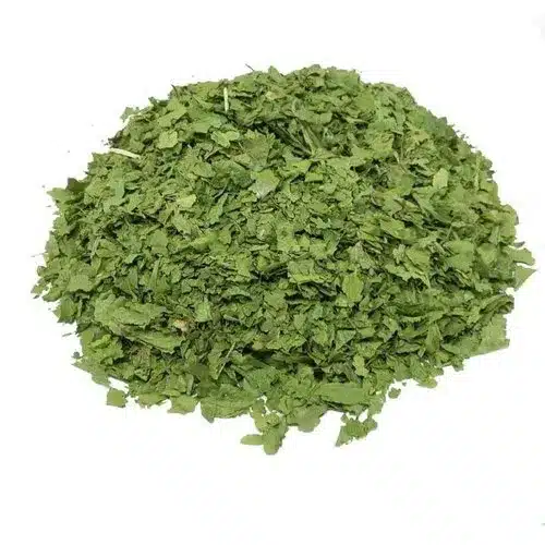 Manufacturer & Supplier of Dehydrated Coriander Leaves