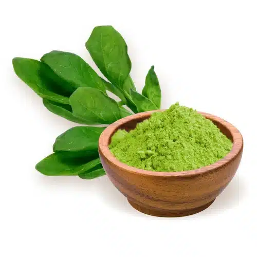 Manufacturer & Supplier of Dehydrated Spinach Powder